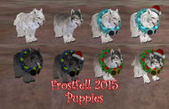 Frostfell 2015 Puppies